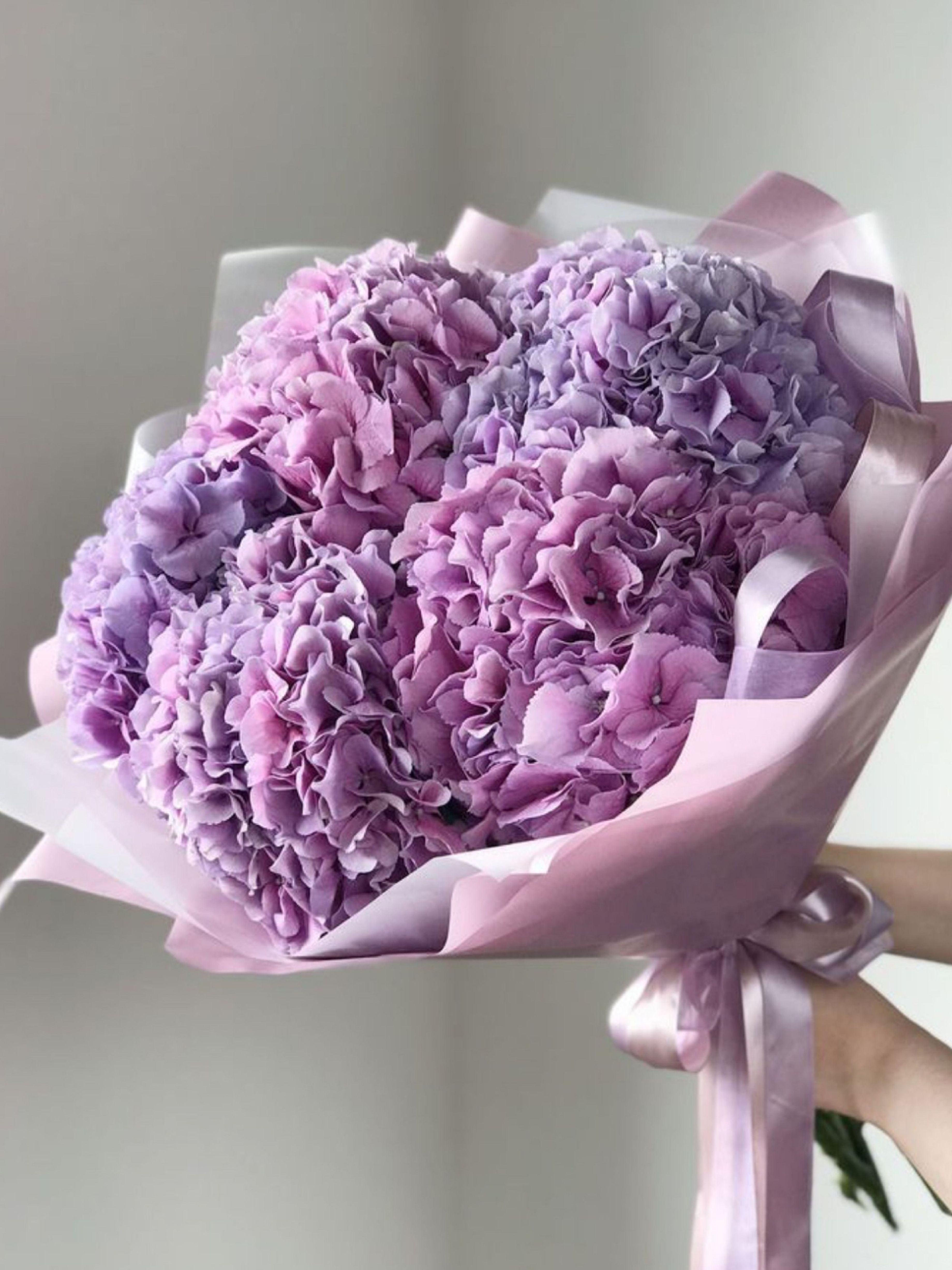 Hortensia Blanca